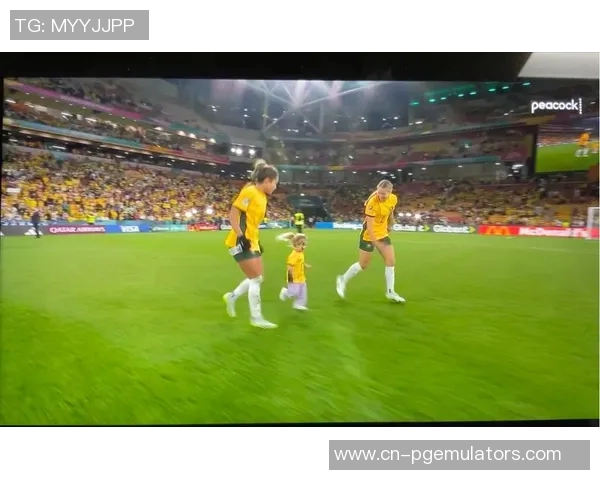 法国与澳大利亚精彩对决视频回顾分析及比赛亮点总结